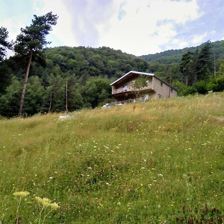 Guesthouse Gama In Khevsureti Roshka Exterior foto