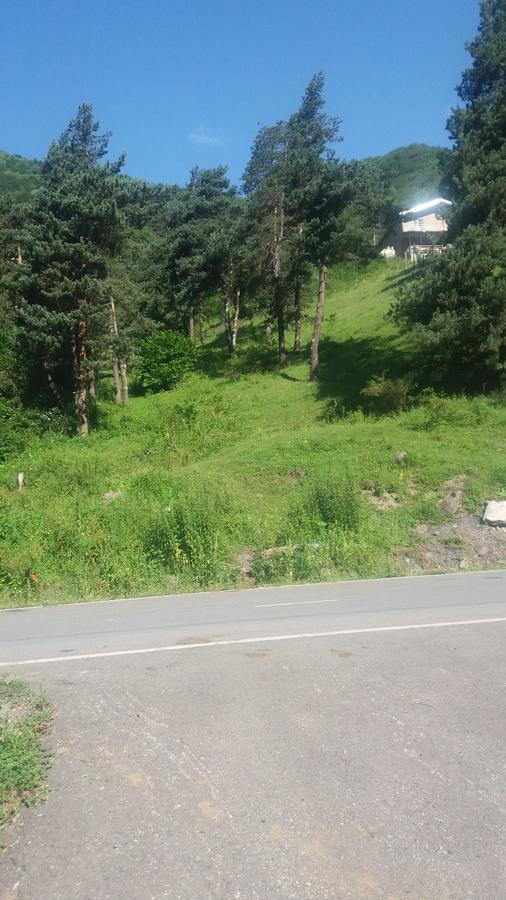 Guesthouse Gama In Khevsureti Roshka Exterior foto