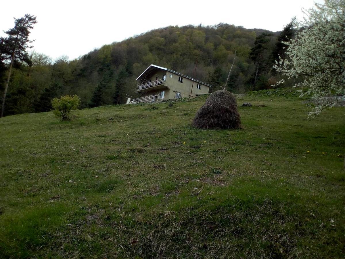 Guesthouse Gama In Khevsureti Roshka Exterior foto