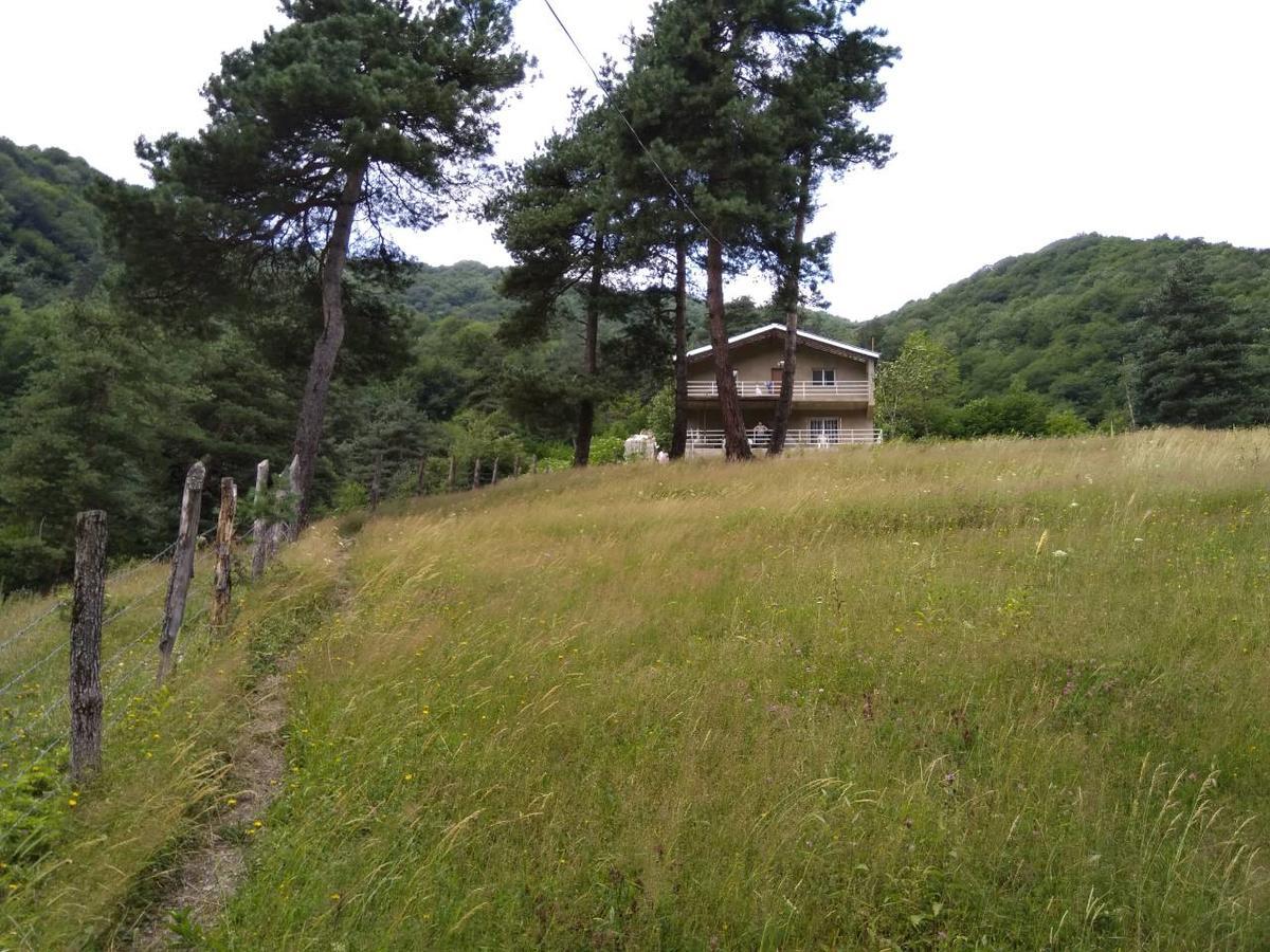 Guesthouse Gama In Khevsureti Roshka Exterior foto