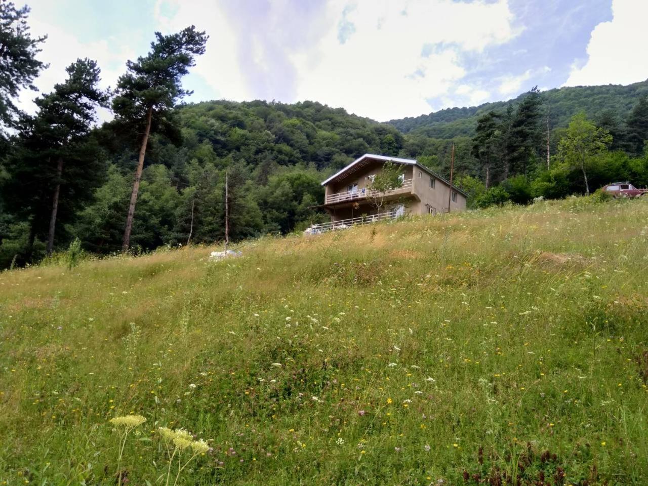 Guesthouse Gama In Khevsureti Roshka Exterior foto